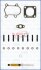 Комплект прокладок турбіни RENAULT Master II 97-10; FIAT Ducato 94-02; JEEP Grand Cherokee 98-04; IVECO Daily E2 96-99 AJUSA JTC11015 (фото 1)