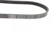 Полікліновий ремінний комплект BOSCH 1987946196 (фото 3)