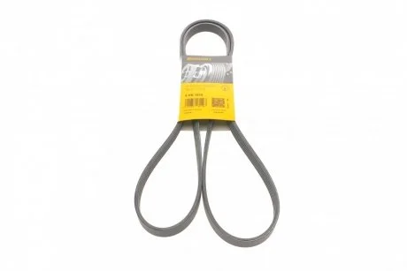 Ремінь генератора поліклиновий CONTINENTAL Contitech 5PK1815