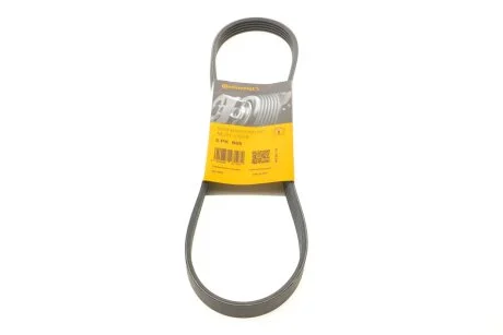 Ремінь генератора поліклиновий CONTINENTAL Contitech 5PK869