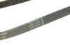 Пас поліклиновий Citroen Jumpy/Peugeot Expert 2.0 Contitech 6PK1073EXTRA (фото 4)