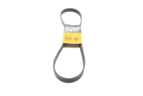Ремінь генератора поліклиновий CONTINENTAL Contitech 6PK1084