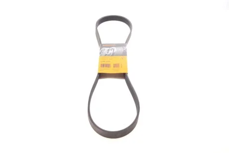 Пас поліклиновий Citroen Jumper/Fiat Ducato 2.0/2. Contitech 6PK1173