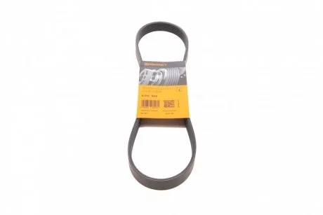 Пас поліклиновий Citroen Berlingo/Jumpy/Fiat Scudo Contitech 6PK869