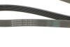 Ремінь генератора поліклиновий CONTINENTAL Contitech 7PK1730 (фото 3)