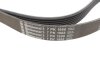 Поклиновий ремень Contitech 7PK1988 (фото 3)