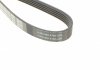 Ремінь DAYCO 5PK1137 (фото 3)