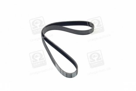 Дорiжковий ремень DAYCO 6PK1005