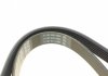 Ремінь DAYCO 6PK1137 (фото 3)