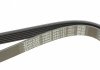 Ремінь DAYCO 6PK1137 (фото 4)