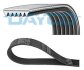 Ремінь DAYCO 6PK1209 (фото 1)
