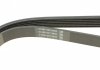 Ремінь DAYCO 6PK1310 (фото 3)