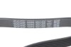 Ремінь DAYCO 6PK1606 (фото 4)