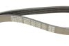 Ремінь генератора поліклиновий DAYCO 6PK1725 (фото 5)