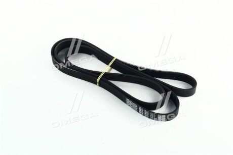 - Ремінь (поліклиновий) DAYCO 6PK1875