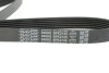Ремінь DAYCO 6PK2135 (фото 2)