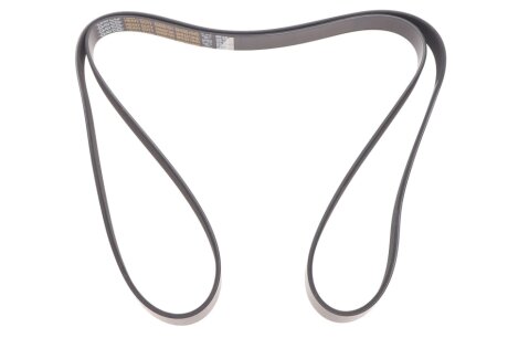 - Ремінь (поліклиновий) DAYCO 6PK2210HD