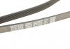 Ремінь DAYCO 6PK2255 (фото 5)