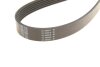 Ремінь DAYCO 6PK2300 (фото 3)