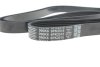 Ремінь DAYCO 6PK2515 (фото 4)