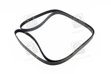 - Ремінь (поліклиновий) DAYCO 6PK2590