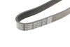 - Ремінь (поліклиновий) DAYCO 6PK2615 (фото 5)