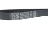 Ремінь DAYCO 8PK1226 (фото 4)