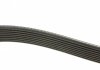 Ремінь DAYCO 8PK1295 (фото 2)