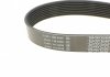 Ремінь DAYCO 8PK1295 (фото 3)