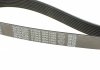 Ремінь DAYCO 8PK1295 (фото 4)