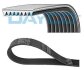8PK1920HD   DAYCO - Ремінь (поліклиновий) 8PK1920HD