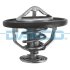 - Термостат DAYCO DT1059V (фото 1)