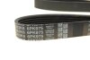 Комплект ременя генератора DAYCO KPV333 (фото 5)