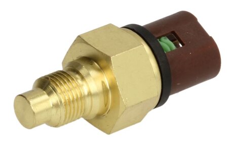 Датчик температури Delphi TS10484