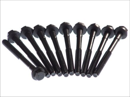 Болт ГБЦ, комплект ELRING 708.190