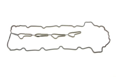 Прокладка клапанної кришки ELRING 808.070