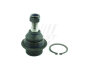 Кульова опора нижня FORD Transit 06-14, Transit 00-06, Connect 02-13, Transit 14-, Transit Custom 12- FAST FT17101 (фото 1)