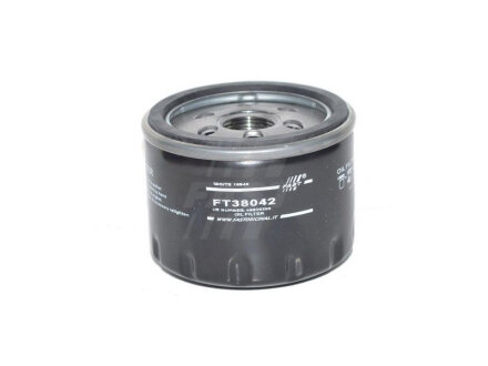 Фільтр масляний 1.6MPI 16V, 2.0MPI 16V, 1.8MPI 16V Fiat Doblo 00-09, Fiat Punto 03-10, Alfa Romeo 156 97-07 FAST FT38042