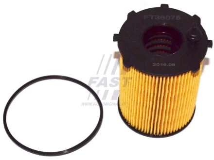 Фільтр масляний 1.6HDI 16V, 1.6HDI 8V, 1.4HDI 8V, 1.4HDI 16V Fiat Scudo 07-16, Peugeot Partner 96-08, Citroen Berlingo 08-18 FAST FT38075