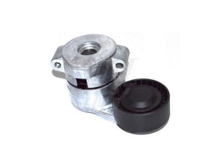 Акция Ролик ГРМ натяжний FORD Transit 06-14, Transit Custom 12-; FIAT Ducato 06-14; PEUGEOT Boxer 06-14; CITROEN Jumper 06-14 FAST FT44597