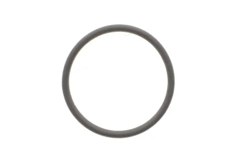 Кільцо термостата M 271 FEBI BILSTEIN 100077