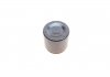 Поршень циліндра 48MM FRENKIT P484703 (фото 2)