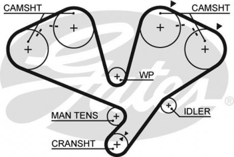 Пас ГРМ з довжиною кола понад 198см Gates 5442XS