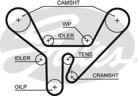 Пас ГРМ з довжиною кола понад 198см Gates 5518XS (фото 1)