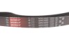 Ремінь Gates 6PK1000 (фото 4)