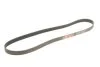 Ремінь Gates 6PK1249SF (фото 2)