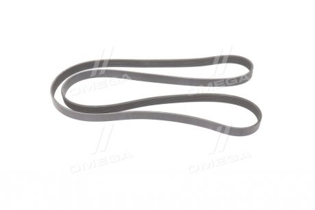 Ремінь Gates 6PK1893