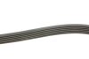 Ремінь Gates 6PK2175 (фото 3)