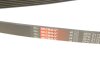 Ремінь Gates 6PK2175 (фото 5)