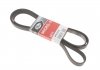 Ремінь Gates 6PK2520 (фото 1)